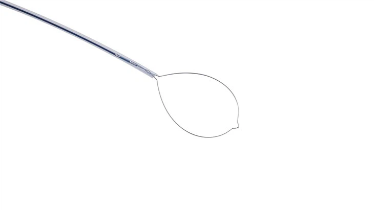 Cold Polypectomy Snare