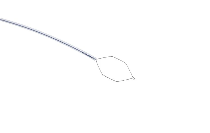Endoscopy Cold Snares