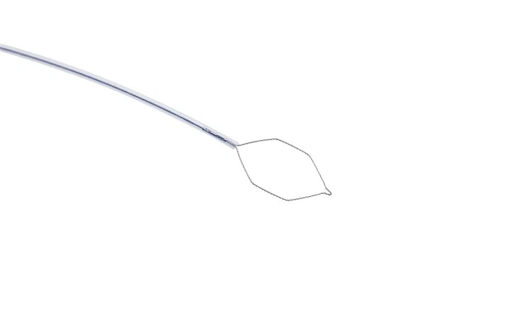 Endoscopy Cold Polypectomy Snares